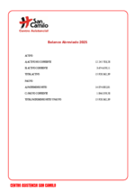 Balance abreviado 2025